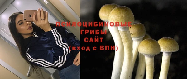 спиды Липки