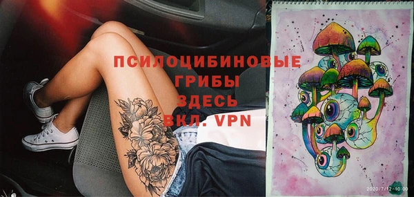 спиды Липки