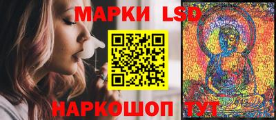 крисы Камышлов