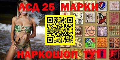 крисы Камышлов