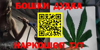 крисы Камышлов