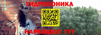 крисы Камышлов