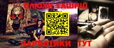 крисы Камышлов