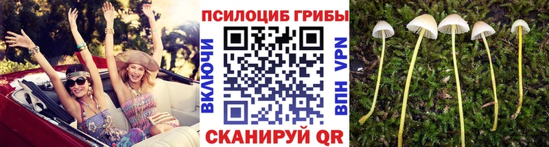 Галлюциногенные грибы ЛСД  даркнет сайт  Ухта 