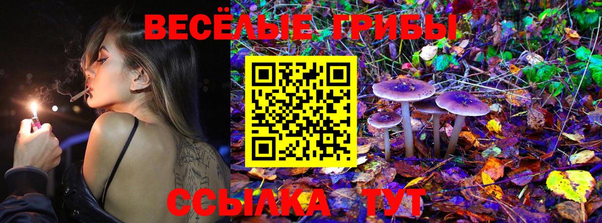 Галлюциногенные грибы Cubensis Ухта