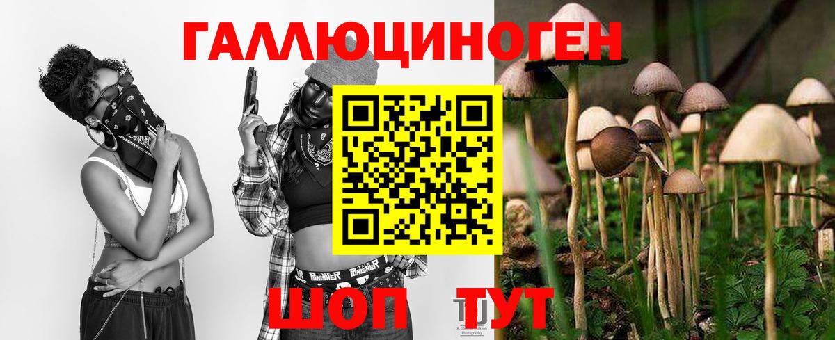 Ухта  Галлюциногенные грибы Psilocybine cubensis  Вход с VPN 