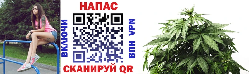 Бошки марихуана сатива  купить наркотик  hydra ТОР  Ухта 
