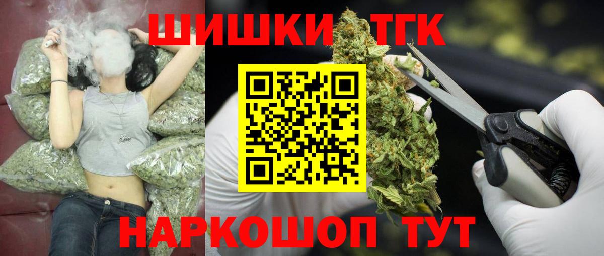 Конопля сатива Ухта